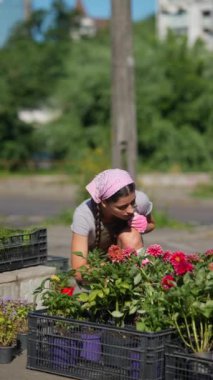 Çiftçi pazarındaki genç kadın çiftçi ürünü satmaya hazırlanıyor. Yüksek kalite 4k görüntü
