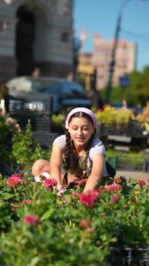 Çiftçi pazarındaki genç kadın çiftçi ürünü satmaya hazırlanıyor. Yüksek kalite 4k görüntü