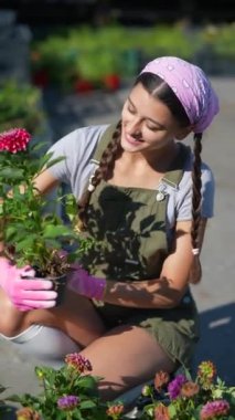 Çiftçi pazarındaki genç kadın çiftçi ürünü satmaya hazırlanıyor. Yüksek kalite 4k görüntü