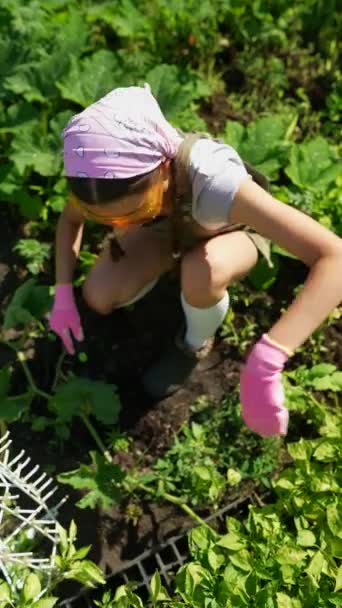 Vue Dessus Jeune Agricultrice Portant Des Gants Caoutchouc Assise Près — Video
