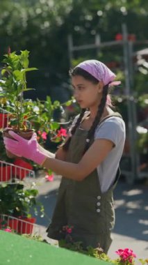 Çiftçi pazarındaki genç kadın çiftçi ürünü satmaya hazırlanıyor. Yüksek kalite 4k görüntü