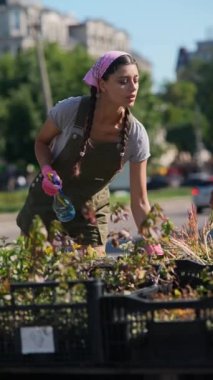 Çiftçi pazarındaki genç kadın çiftçi ürünü satmaya hazırlanıyor. Yüksek kalite 4k görüntü