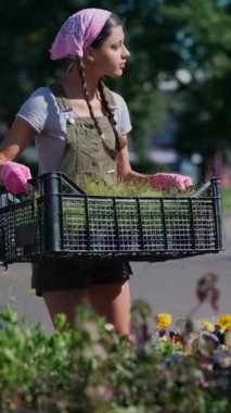 Çiftçi pazarındaki genç kadın çiftçi ürünü satmaya hazırlanıyor. Yüksek kalite 4k görüntü