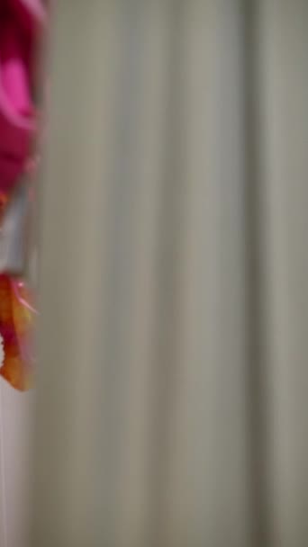 비키니를 아름다운 소녀는 수영복을 장소에서 입습니다 고품질 — 비디오