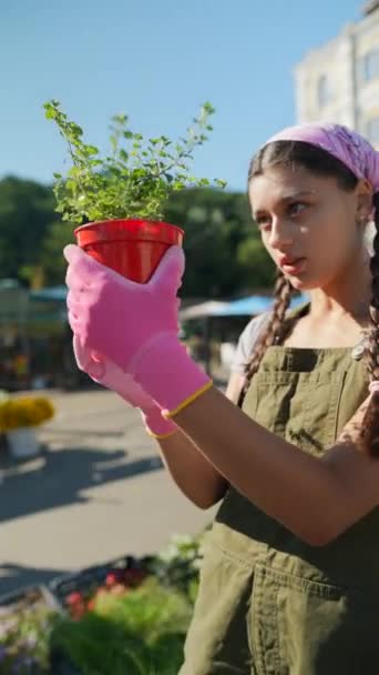 Молодая Женщина Фермер Фермерском Рынке Растений Готовясь Продаже Продукта Высококачественные — стоковое видео