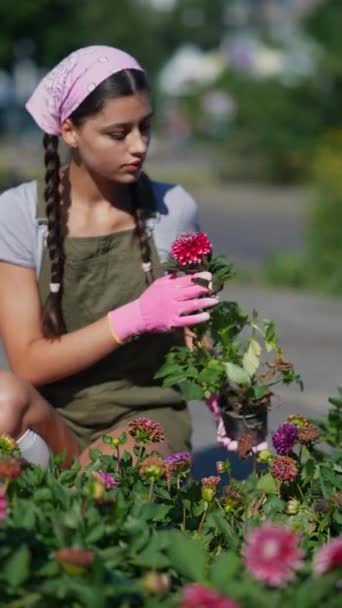 農家の植物市場で若い女性農家 製品を販売する準備 高品質4K映像 — ストック動画