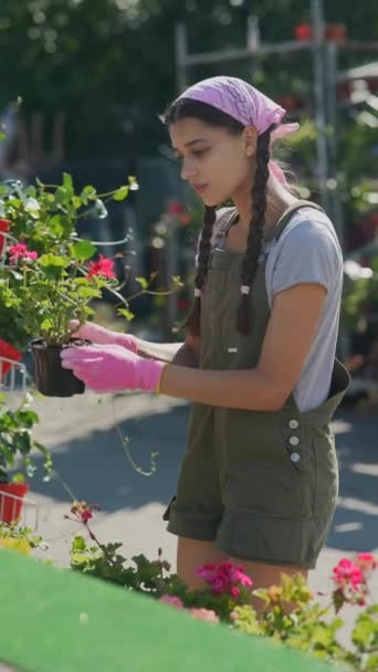 Młoda Kobieta Rolnik Rynku Roślin Rolniczych Przygotowuje Się Sprzedaży Produktu — Wideo stockowe