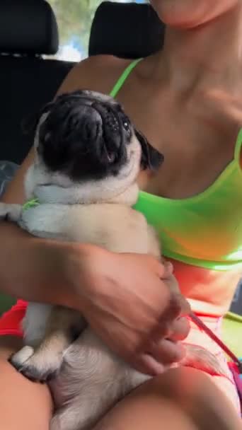 Στο Όχημα Μια Νεαρή Γυναίκα Ντυμένη Αθλητικά Κρατάει Σκύλο Της — Αρχείο Βίντεο