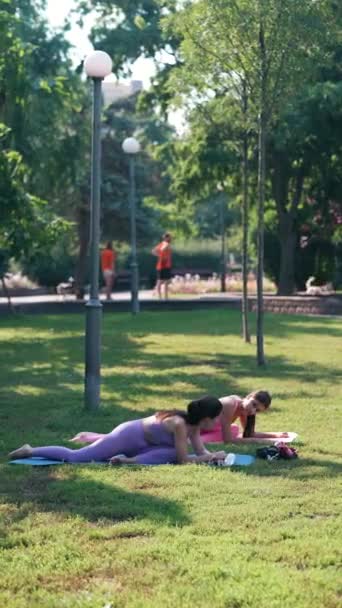 Park Treiben Eine Mutter Und Ihre Erwachsene Tochter Sport Und — Stockvideo