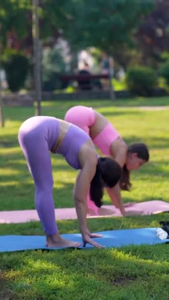 在公园里 一个活泼迷人的母亲和她的成年女儿正在参加瑜伽课 高质量的4K镜头 — 图库视频影像