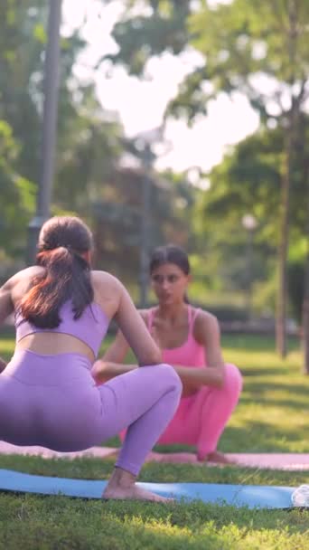 一位运动健美的母亲和她的成年女儿正在公园里参加瑜伽课 高质量的4K镜头 — 图库视频影像