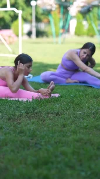 Bir Yaz Günü Parkta Bir Grupla Yoga Seansı Yüksek Kalite — Stok video