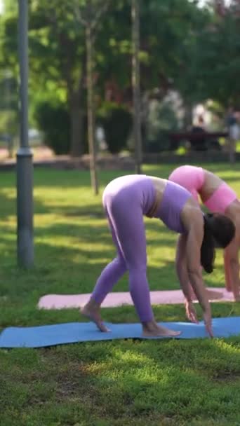 这位母亲正在参加一个由她女儿主持的瑜伽课 高质量的4K镜头 — 图库视频影像