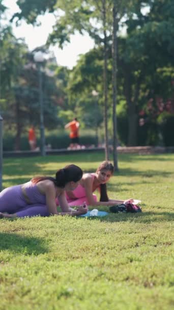 Mamă Fiica Adultă Fac Exerciții Fizice Trupul Întinde Iarbă Parc — Videoclip de stoc