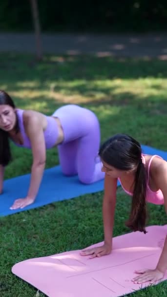 一个漂亮的运动妈妈和她的女儿正在夏天的公园里从事体育活动 高质量的4K镜头 — 图库视频影像