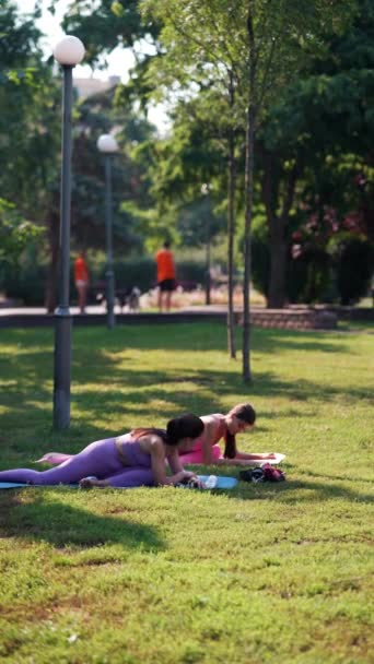一位母亲和她的大女儿从事体育活动和身体伸展活动 在公园的草地上 高质量的4K镜头 — 图库视频影像