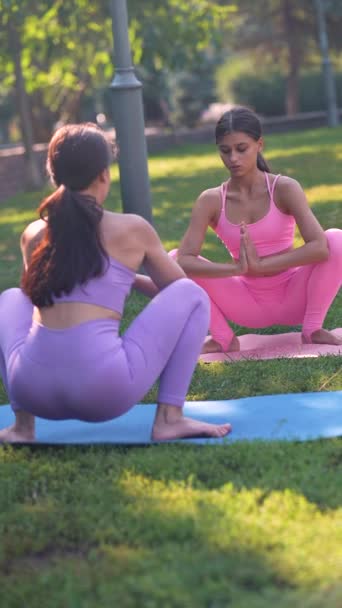 Şehir Parkında Çarpıcı Sportif Bir Anne Yetişkin Kızı Yoga Seansına — Stok video