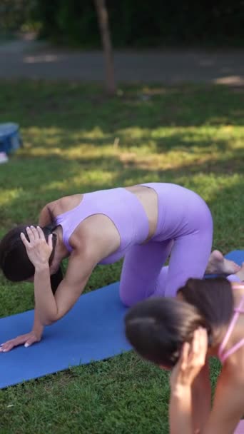 一位母亲和她的成年女儿正在公园的草地上进行体育运动和身体柔韧运动 高质量的4K镜头 — 图库视频影像