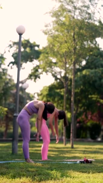 暑期在公园里进行集体瑜伽训练 高质量的4K镜头 — 图库视频影像