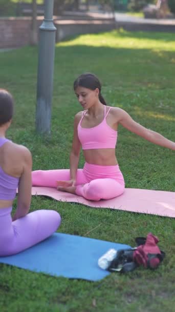 一个夏日在公园举行的瑜伽工作坊 高质量的4K镜头 — 图库视频影像