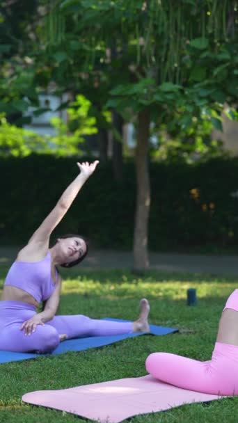 Teilnahme Einem Yoga Gruppenkurs Park Einem Sommertag Hochwertiges Filmmaterial — Stockvideo
