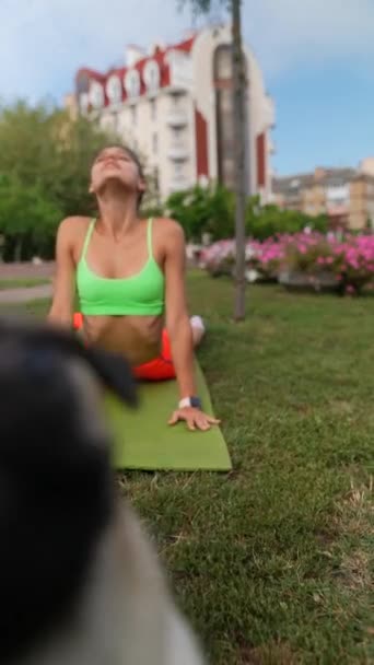 夏の公園は 若い女の子と彼女のパグ犬が献身的なスポーツトレーニングに参加するのに最適な背景を提供します 高品質の4K映像 — ストック動画