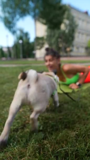 Perro Raza Pug Está Descansando Sobre Hierba Como Una Niña — Vídeos de Stock