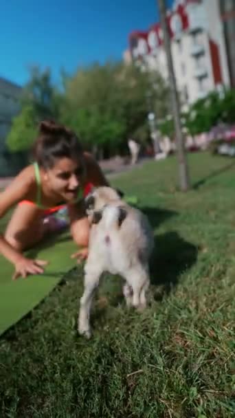 公園の緑の中で スポーティな若い女性は喜んで彼女のパグ犬とフロリックスし 両方とも草の環境を楽しんでいます 高品質の4K映像 — ストック動画