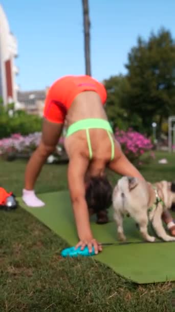 在一个夏季公园的绿地里 一位活泼的年轻女士和她那只哈巴狗一起工作 完成各种体育项目 高质量的4K镜头 — 图库视频影像