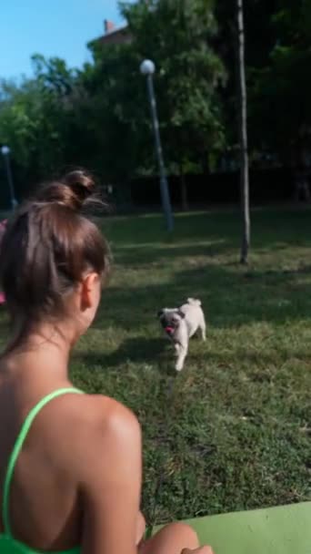 スポーツウェアの若い女の子は 公園の草原で彼女のパグドッグと遊んでいます 高品質の4K映像 — ストック動画
