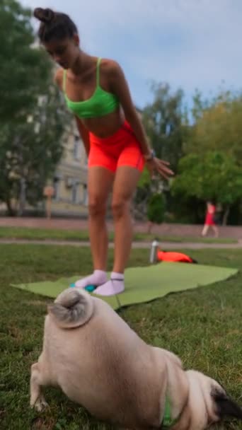 夏の公園では 若い運動女性がパグドッグとチームを組んでさまざまなスポーツ演習を行っています 高品質の4K映像 — ストック動画