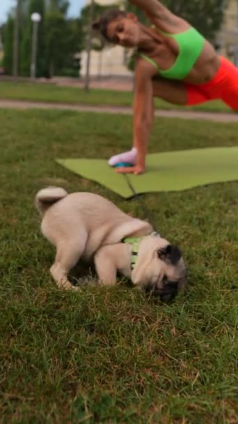 Bir Yaz Parkında Sportif Genç Bir Kadın Köpeğiyle Egzersiz Yapar — Stok video