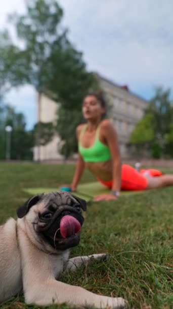 Wśród Letniej Scenerii Parku Młoda Wysportowana Dziewczyna Jej Pies Mops — Wideo stockowe