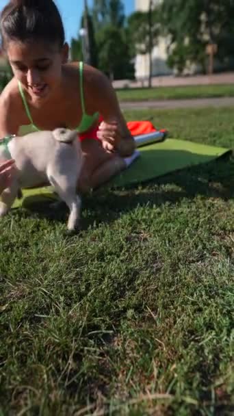 Bir Yaz Gününün Ortasında Güzel Genç Bir Bayan Parkta Pug — Stok video