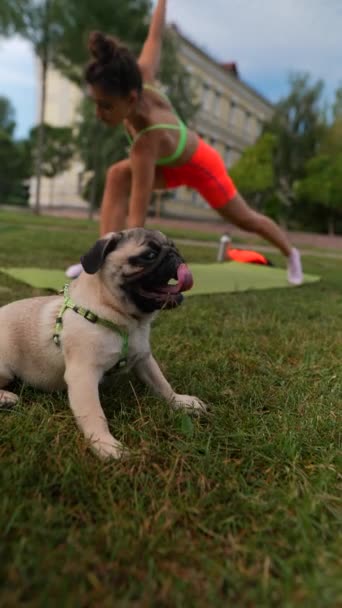 Com Seu Cachorro Como Companheiro Uma Jovem Esportiva Pratica Exercícios — Vídeo de Stock
