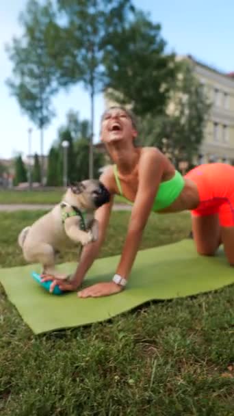 Parque Verão Uma Jovem Esportiva Exercita Com Seu Cachorro Participando — Vídeo de Stock