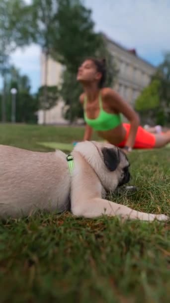 Com Seu Cachorro Seu Lado Uma Jovem Esportiva Pratica Rotinas — Vídeo de Stock