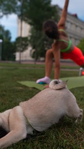 Cachorro Acompanha Uma Jovem Esportiva Enquanto Participa Exercícios Esportivos Sereno — Vídeo de Stock