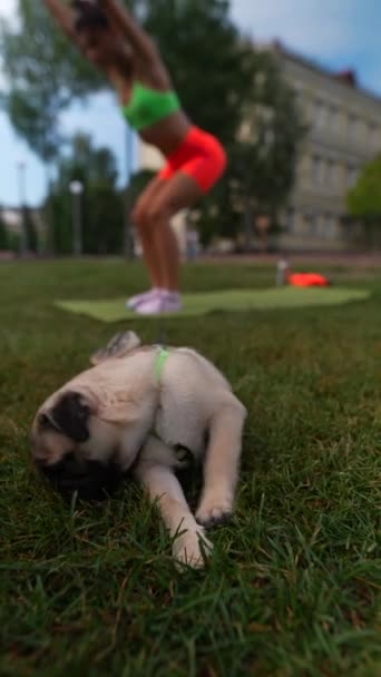 一名年轻女子在她那只呕吐的狗的陪伴下 在夏季公园的周围环境中完成了一些体育活动 高质量的4K镜头 — 图库视频影像
