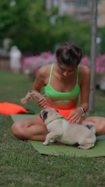 Yaz Parkı Sahnesinde Spor Giyim Giymiş Bir Kız Pug Köpeğiyle — Stok video