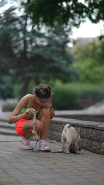 Escena Urbana Captura Una Chica Paseando Tranquilamente Con Perrito Las — Vídeo de stock