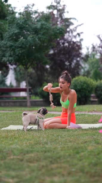 朝のトレーニングの最中 明るい少女が公園でパグドッグと遊びに行っている 高品質の4K映像 — ストック動画