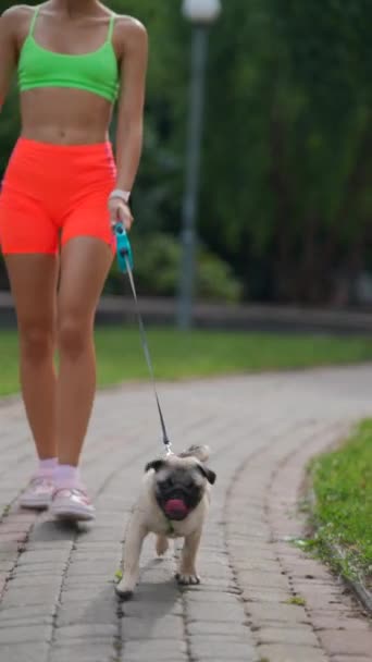 Angajat Într Activitate Pașnică Fată Drăguță Își Duce Câinele Plimbare — Videoclip de stoc