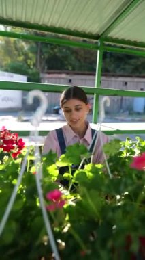 Genç bir kadın satıcı pazarda sattığı bitkilerle ilgileniyor. Yüksek kalite 4k görüntü