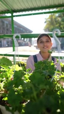 Tedarikçi olarak çalışan genç bir kadının, pazarda sunduğu bitkileri beslediği görülüyor. Yüksek kalite 4k görüntü