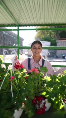 Markette, genç bir bayan satıcı satılık bitkilerle ilgileniyor. Yüksek kalite 4k görüntü