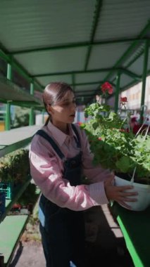 Pazar yerinde, enerjik genç bir bayan satıcı satılık bitkilerle ilgileniyor. Yüksek kalite 4k görüntü