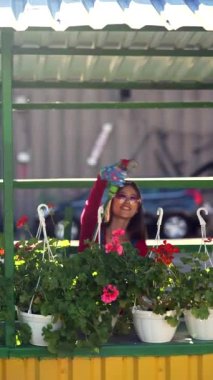 Markette, genç bir bayan vazoları sulamak için sprey kullanıyor. Yüksek kalite 4k görüntü