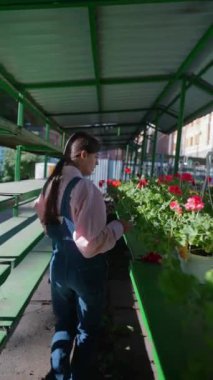 Tedarikçi olarak çalışan genç bir kadının, pazarda sunduğu bitkileri beslediği görülüyor. Yüksek kalite 4k görüntü