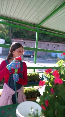 Eldiven giyen genç bir kadın satıcı, pazarda sattığı çiçeklere su püskürtüyor. Yüksek kalite 4k görüntü